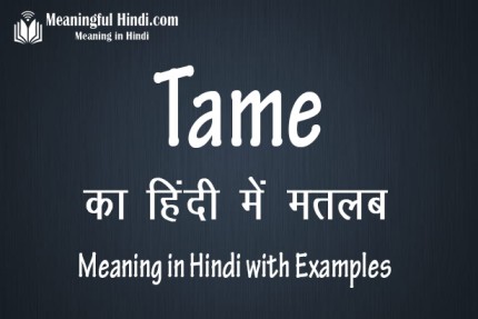 Tame Meaning in Hindi टेम मतलब हिंदी में | Tame ka Matlab & Arth
