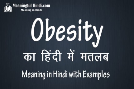 obesity essay in hindi