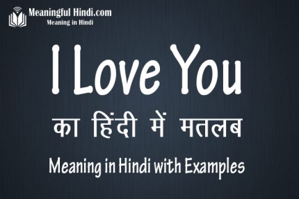 i love you in hindi translation