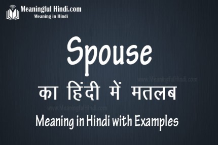 Spouse Meaning in Hindi स्पाउस का मतलब हिंदी में Definition, Matlab & Arth