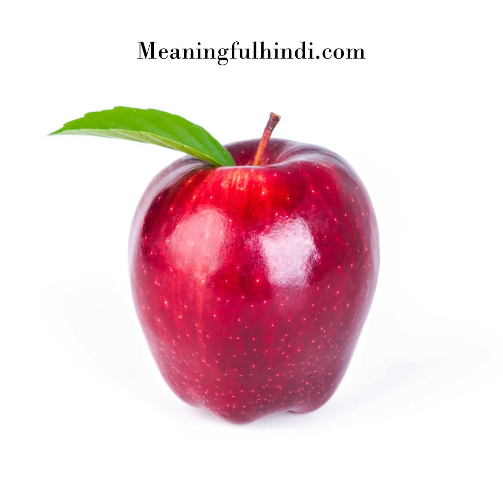 apple meaning in hindi