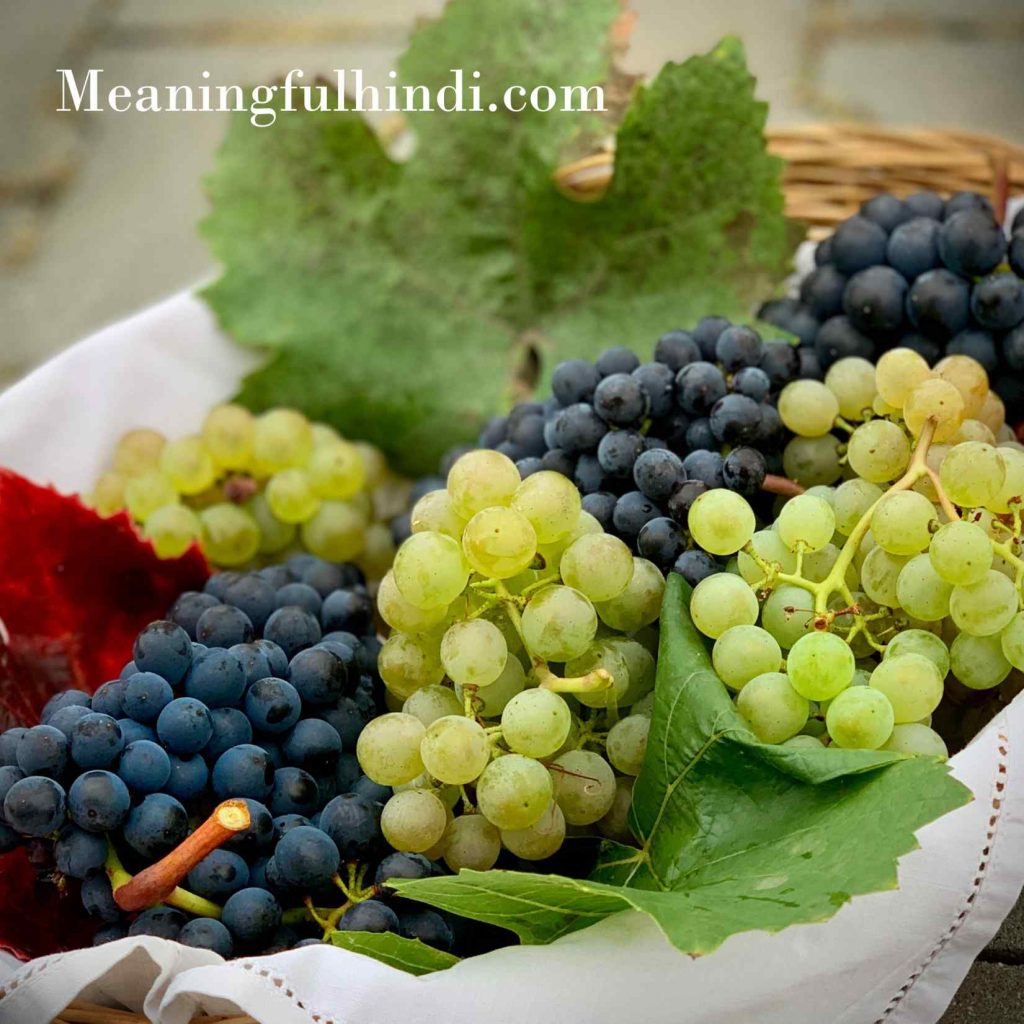 grapes meaning in hindi
