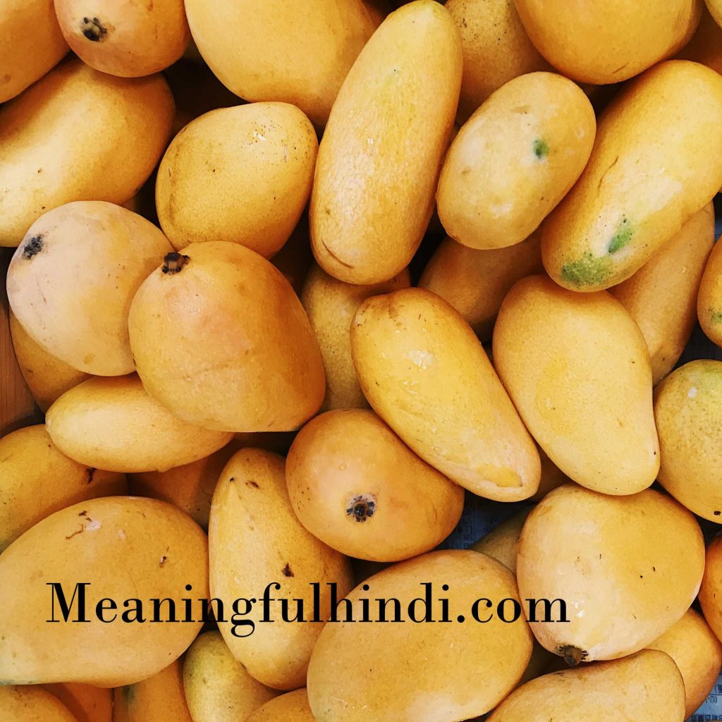 mango meaning in hindi