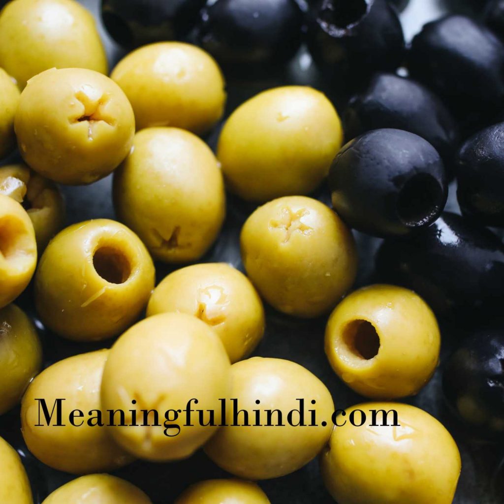 Olive Meaning in Hindi 