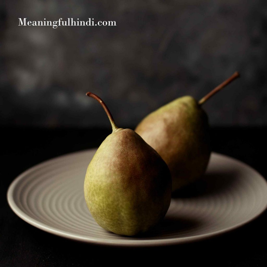 pear meaning in hindi