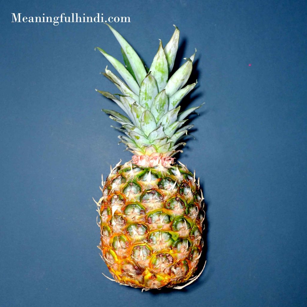 Pineapple Meaning in Hindi