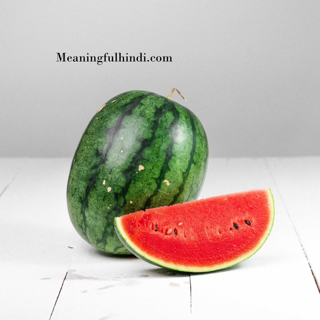 Watermelon Meaning in Hindi