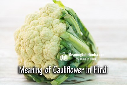 Cauliflower Meaning in Hindi