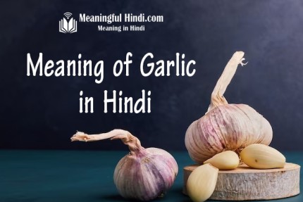 Garlic Meaning in Hindi