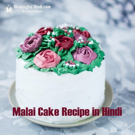 Malai Cake Recipe in Hindi