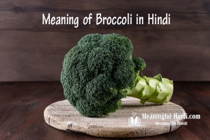 Broccoli Meaning in Hindi
