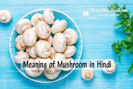 Mushroom Meaning in Hindi