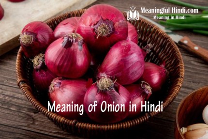 Onion Meaning in Hindi
