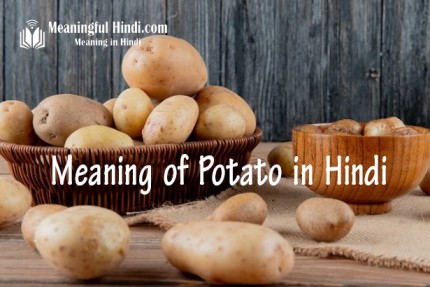 Potato Meaning in Hindi