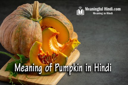 Pumpkin Meaning in Hindi