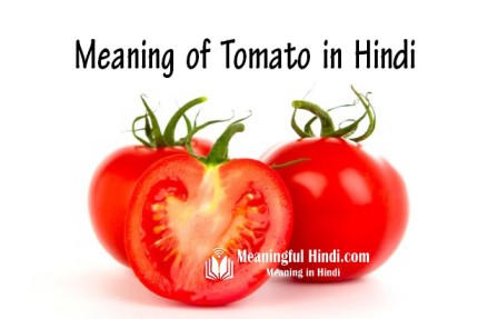 Tomato Meaning in Hindi