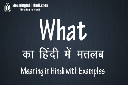 What Meaning In Hindi 