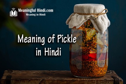 Pickle Meaning in Hindi