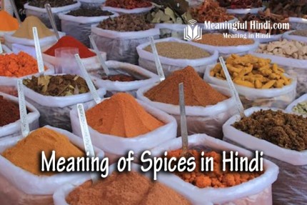 Spices Meaning in Hindi