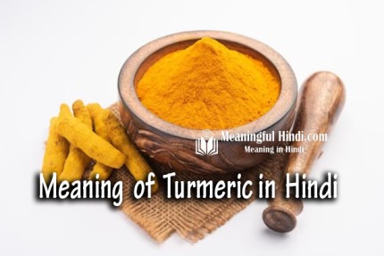 Turmeric Meaning in Hindi