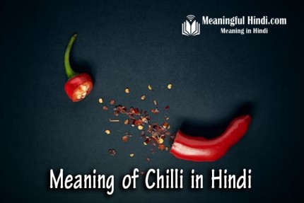 Chilli Meaning in Hindi