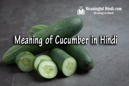 Cucumber Meaning in Hindi