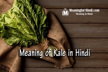 Kale Meaning in Hindi