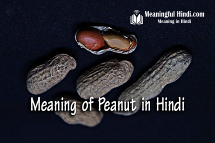 Peanut Meaning in Hindi