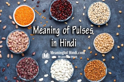 Pulses Meaning in Hindi