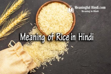 Rice Meaning in Hindi